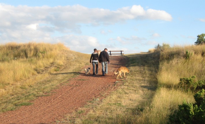 Beautiful and extensive trail system